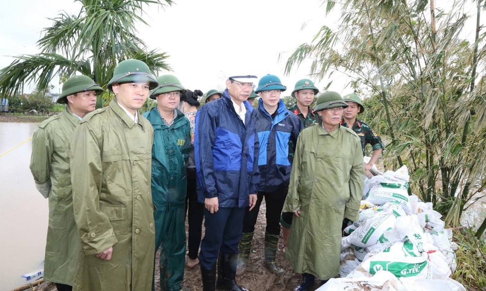 Hải Phòng: Tập trung khắc phục, bảo vệ các công trình thủy lợi, đê điều xung yếu