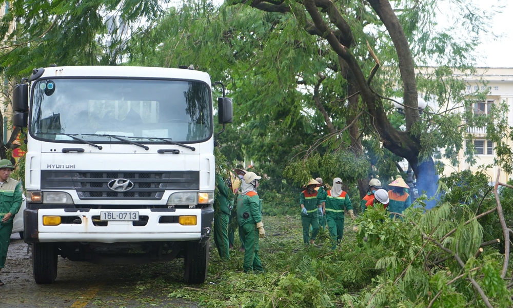 Hải Phòng: Hơn 22.000 cây xanh bị gãy đổ do bão số 3