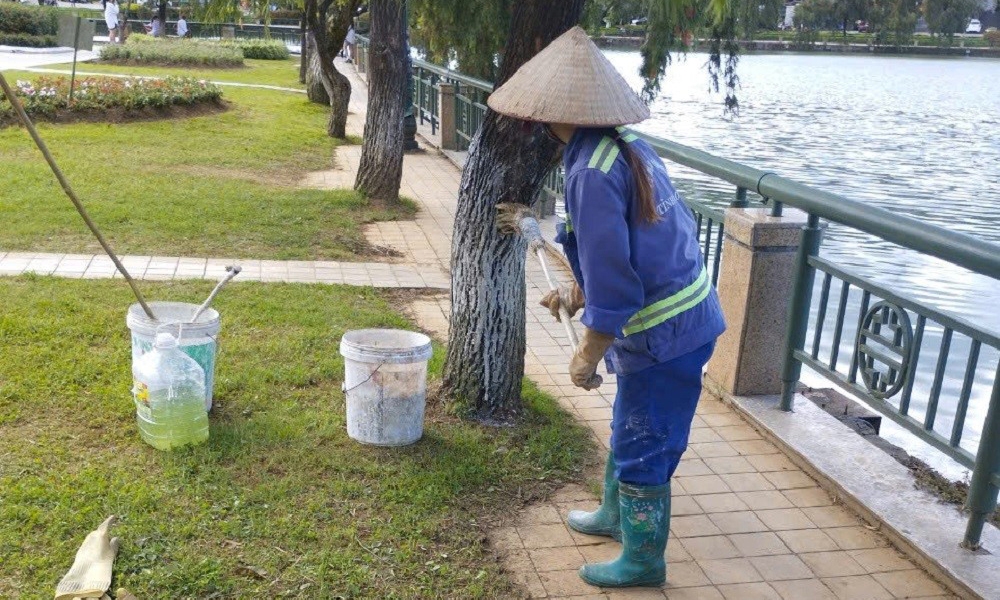 Lào Cai: Tăng cường quản lý cây xanh tại các đô thị trên địa bàn tỉnh