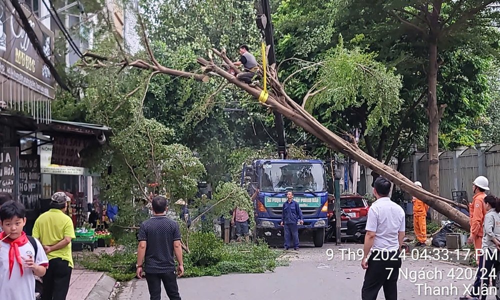 Thanh Xuân (Hà Nội): Phường Hạ Đình ra quân tổng vệ sinh môi trường sau bão số 3