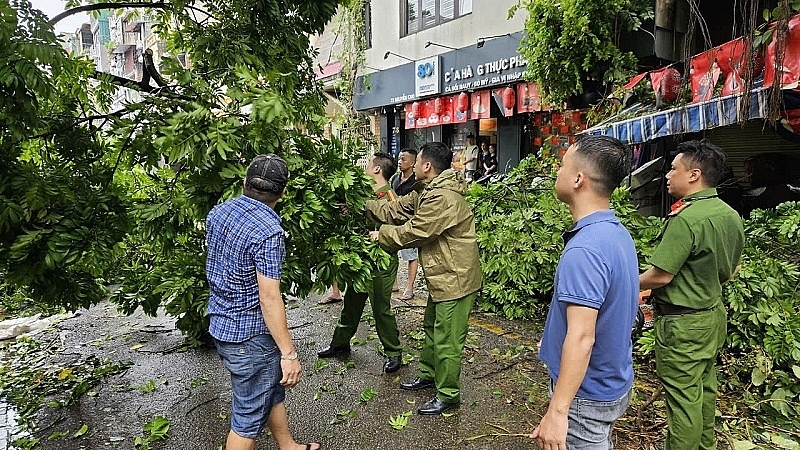 Hà Nội: Tập trung đẩy mạnh công tác thu dọn cây xanh gãy, đổ tại các quận nội thành