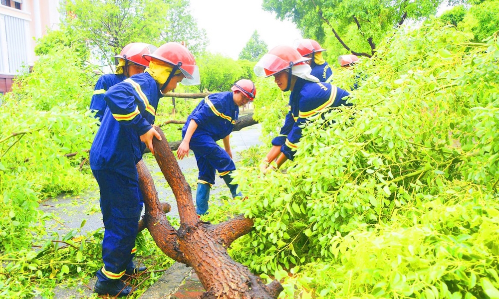 Bắc Ninh: Tập trung cứu chữa và trồng lại cây xanh sau bão số 3