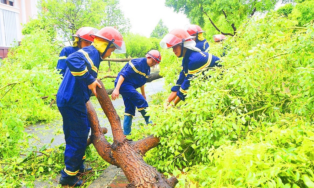 Bắc Ninh: Tập trung cứu chữa và trồng lại cây xanh sau bão số 3