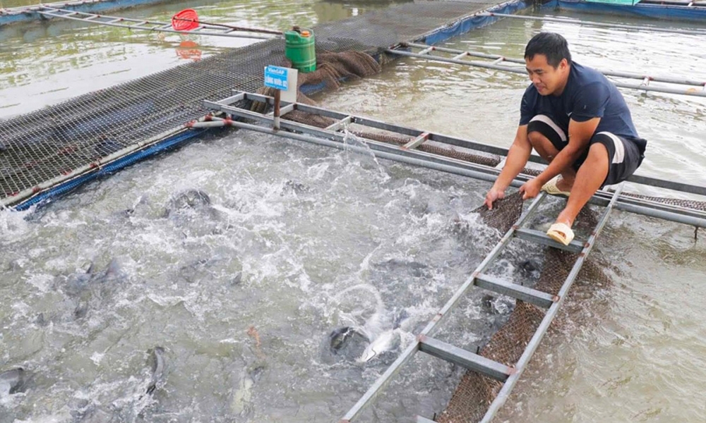 Bắc Ninh: Tập trung khắc phục hậu quả bão số 3, ổn định sản xuất