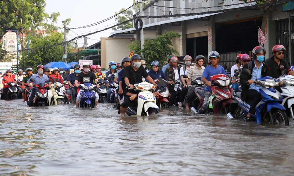 Đồng bằng sông Cửu Long khẩn trương ứng phó với triều cường