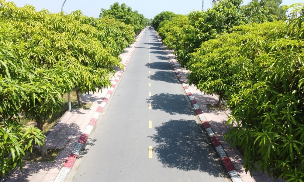 Bài 1: Carboncor Asphalt – tấm áo mới cho những con đường xanh