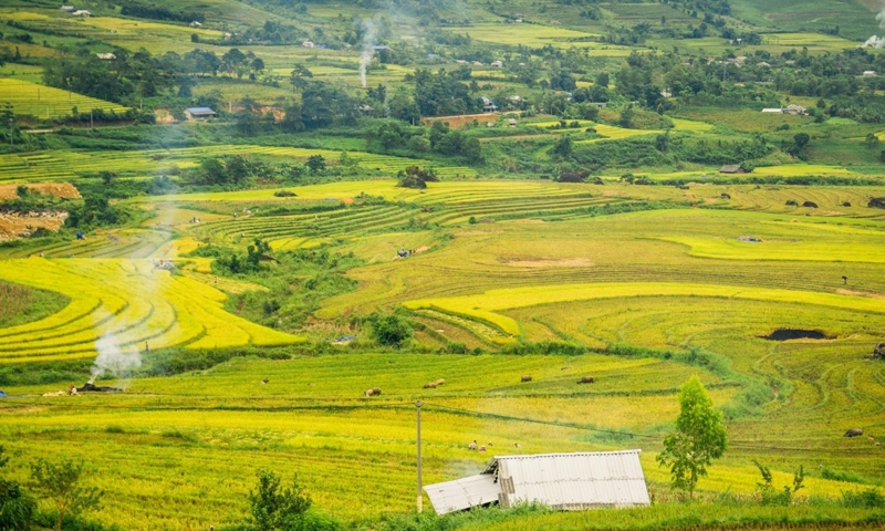 Lai Châu mùa vàng