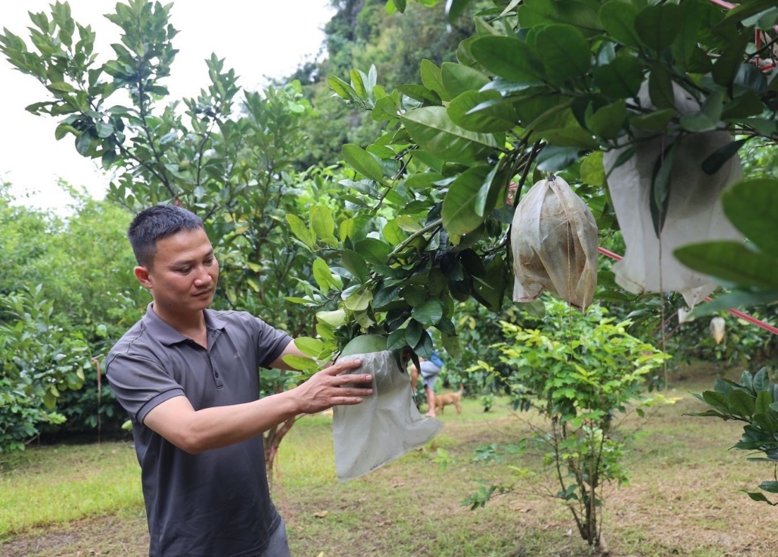 Thuận Châu (Sơn La): Chung sức xây dựng nông thôn mới