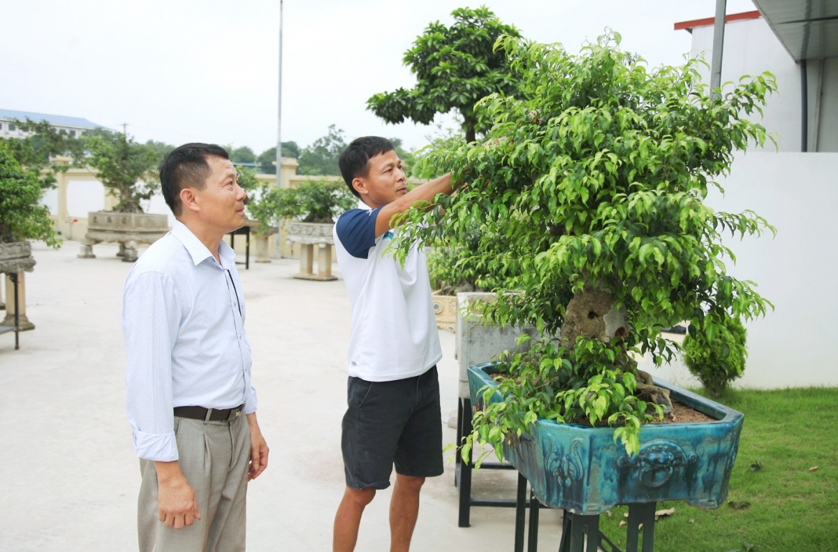 Lập Thạch (Vĩnh Phúc): Giữ vững và nâng cao các tiêu chí xã nông thôn mới nâng cao