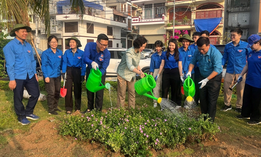 Hạ Long (Quảng Ninh): Khôi phục lại đường hoa sau bão số 3