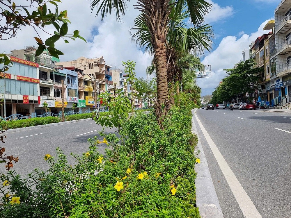 Hạ Long (Quảng Ninh): Khôi phục lại đường hoa sau bão số 3