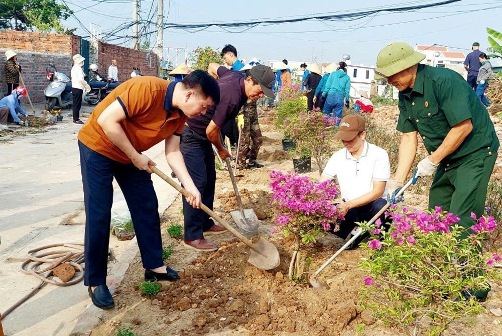 Hạ Long (Quảng Ninh): Khôi phục lại đường hoa sau bão số 3