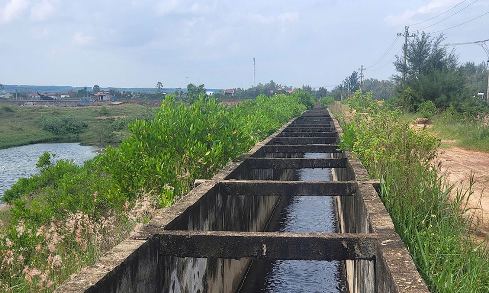 Một doanh nghiệp ở Quảng Ngãi chiếm của Nhà nước gần 31ha đất