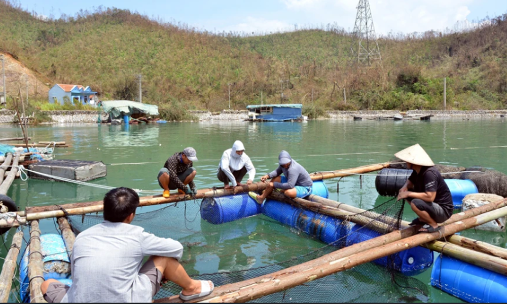 Quảng Ninh đẩy mạnh các giải pháp phục hồi kinh tế