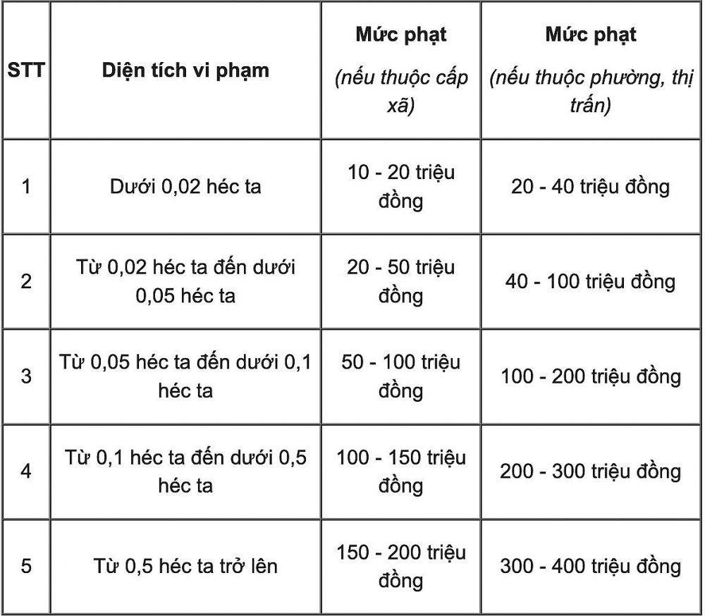 Có được phép xây nhà tạm trên đất trồng cây lâu năm?