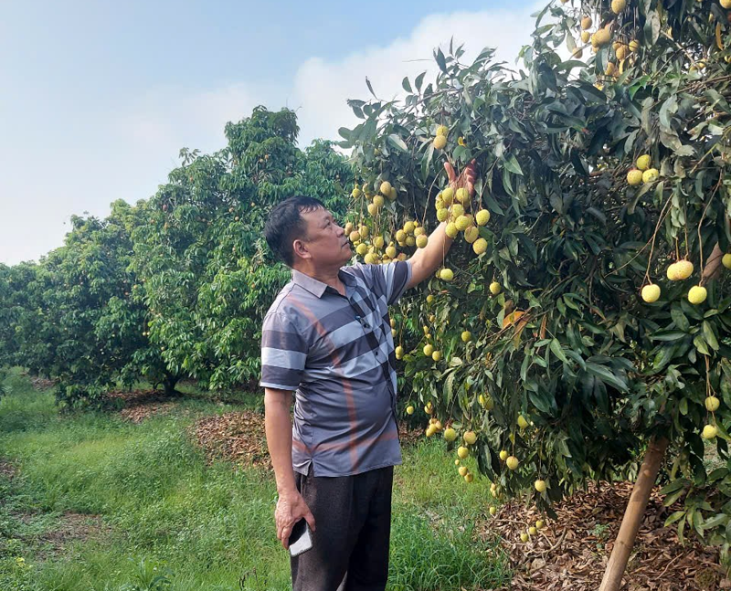 Hưng Yên: Xây dựng nông thôn mới kiểu mẫu ở xã Đa Lộc