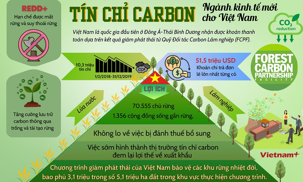 "Mở khóa" thị trường tín chỉ carbon cho Việt Nam