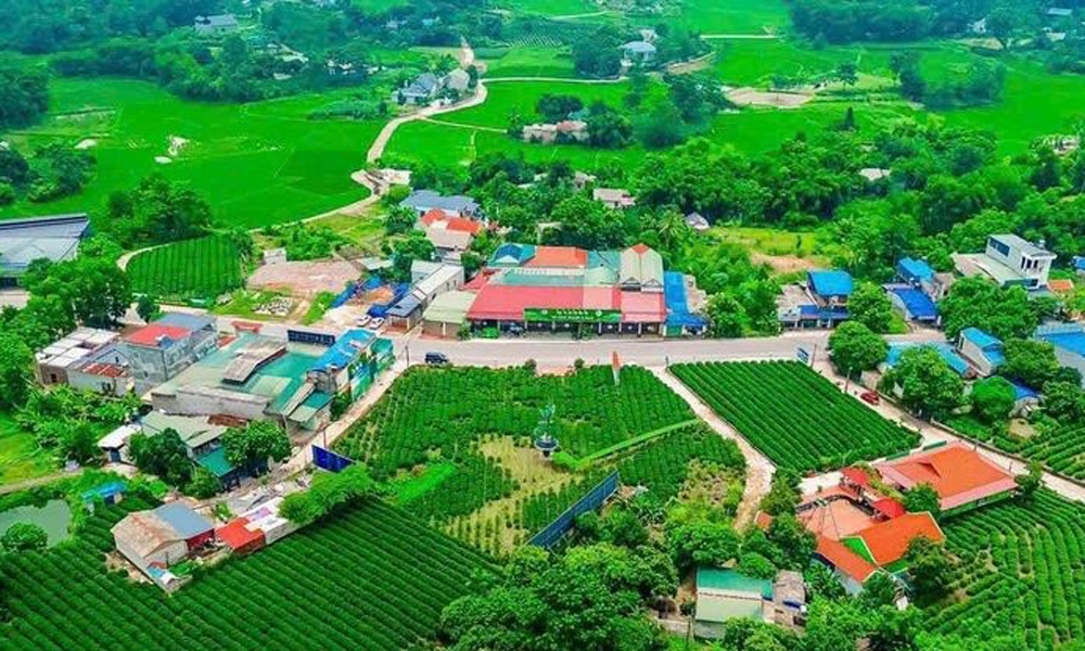 Thái Nguyên: Đẩy nhanh tiến độ giải ngân nguồn vốn các Chương trình mục tiêu quốc gia