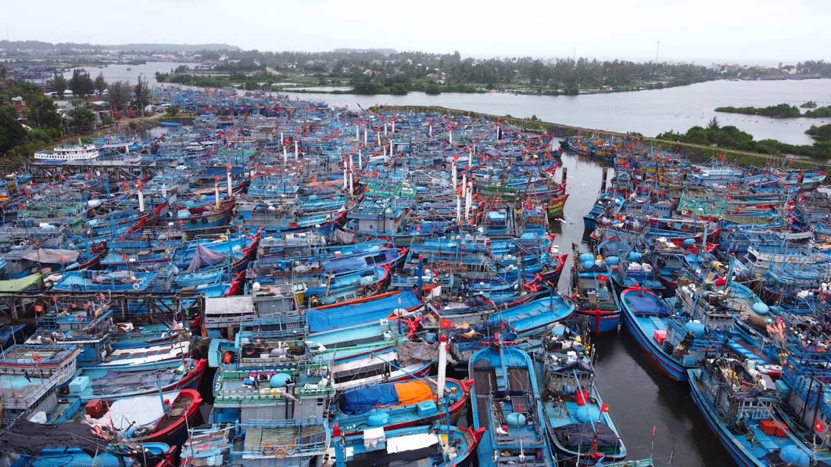 Về tránh bão, nhiều tàu cá Quảng Ngãi không có chỗ trú