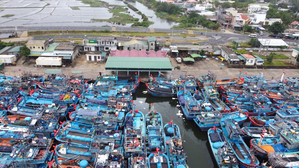 Về tránh bão, nhiều tàu cá Quảng Ngãi không có chỗ trú