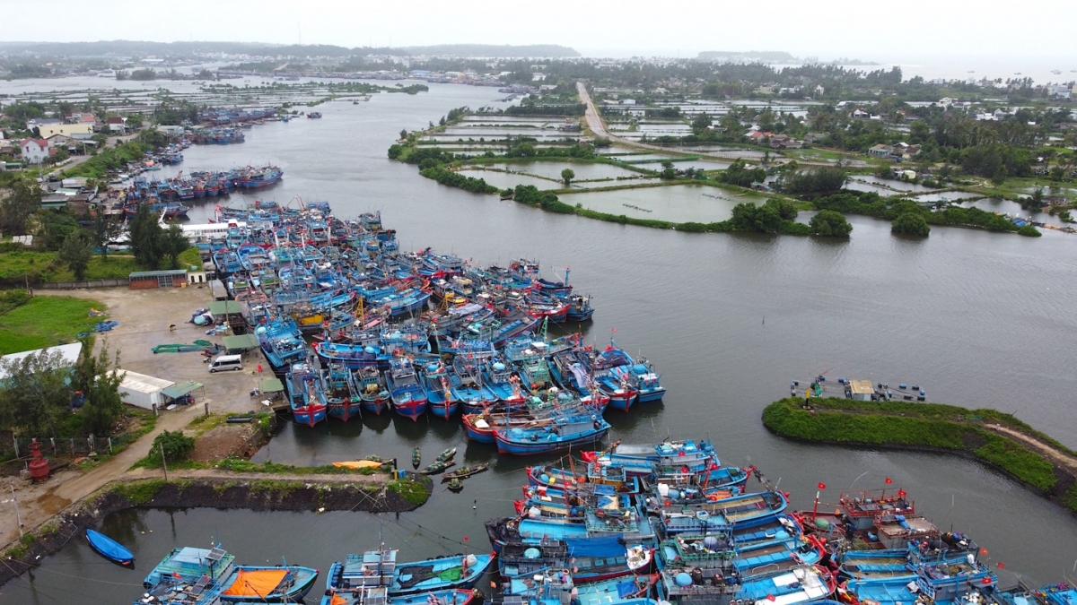 Về tránh bão, nhiều tàu cá Quảng Ngãi không có chỗ trú