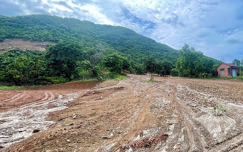 Khánh Hòa: “Cạo trọc” khoảng đồi, có dấu hiệu thay đổi hiện trạng đất rừng sản xuất