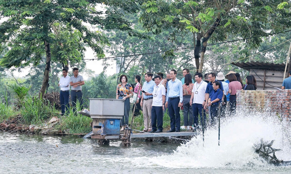 Vĩnh Phúc: Công nhận 1 xã đạt chuẩn nông thôn mới nâng cao, 3 xã đạt chuẩn nông thôn mới kiểu mẫu năm 2024