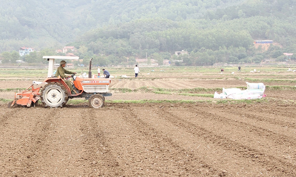 Bắc Giang: Tăng cường công tác quản lý sức khỏe đất, hướng tới sản xuất trồng trọt bền vững