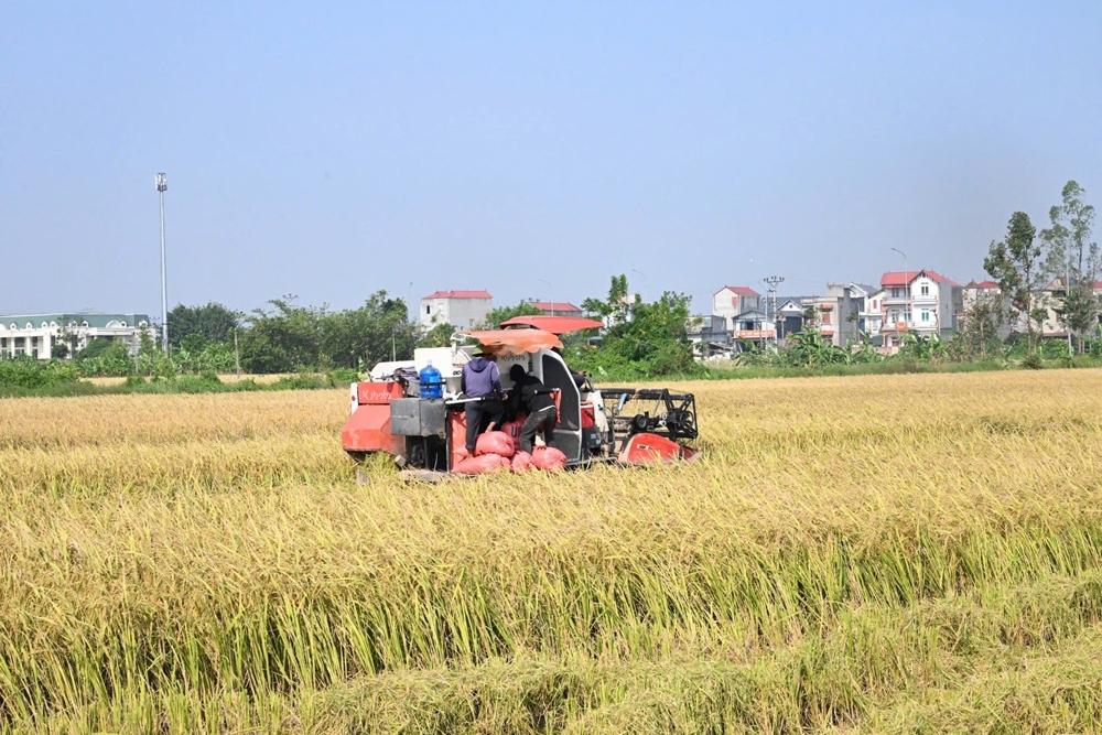 Bắc Ninh: Phát triển nông nghiệp công nghệ cao, chuyển đổi xanh là nhiệm vụ trọng tâm