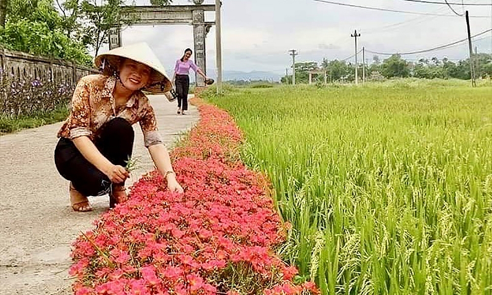 Triệu Phong (Quảng Trị): Tổng nguồn lực huy động xây dựng nông thôn mới đạt trên 1.608 tỷ đồng