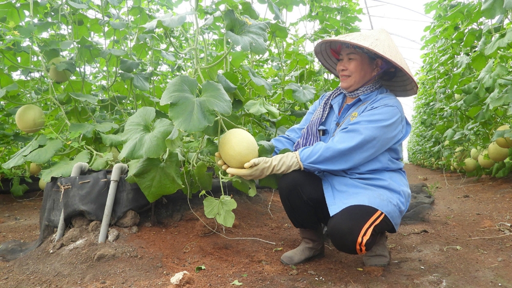 Bình Dương: Huyện Phú Giáo xây dựng Đề án Làng thông minh để phát triển nông thôn mới bền vững