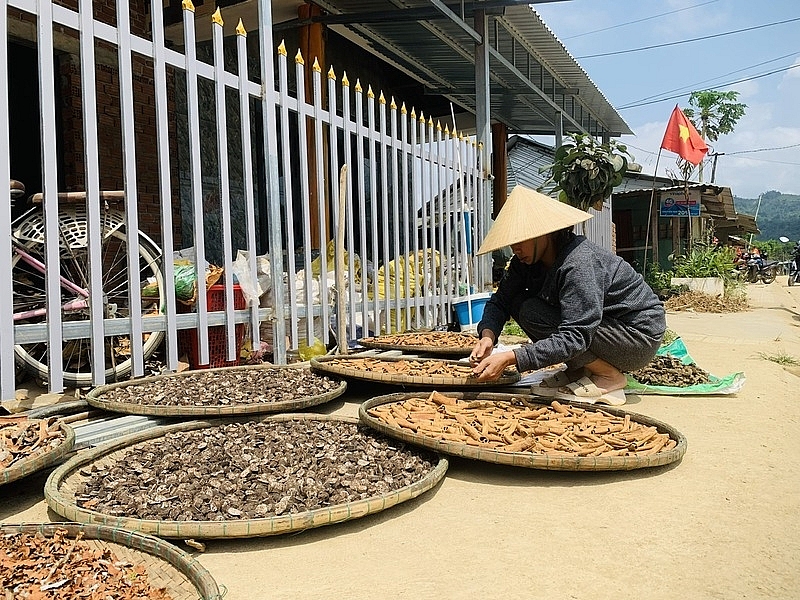 Bắc Trà My (Quảng Nam): Huy động tối đa nguồn lực từ nhân dân trong xây dựng nông thôn mới