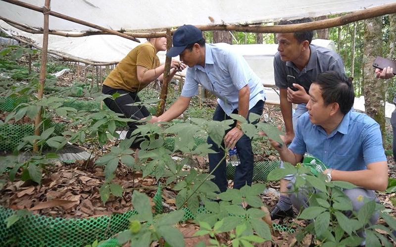 Tu Mơ Rông (Kon Tum): Phấn đấu thực hiện tiêu chí nông thôn