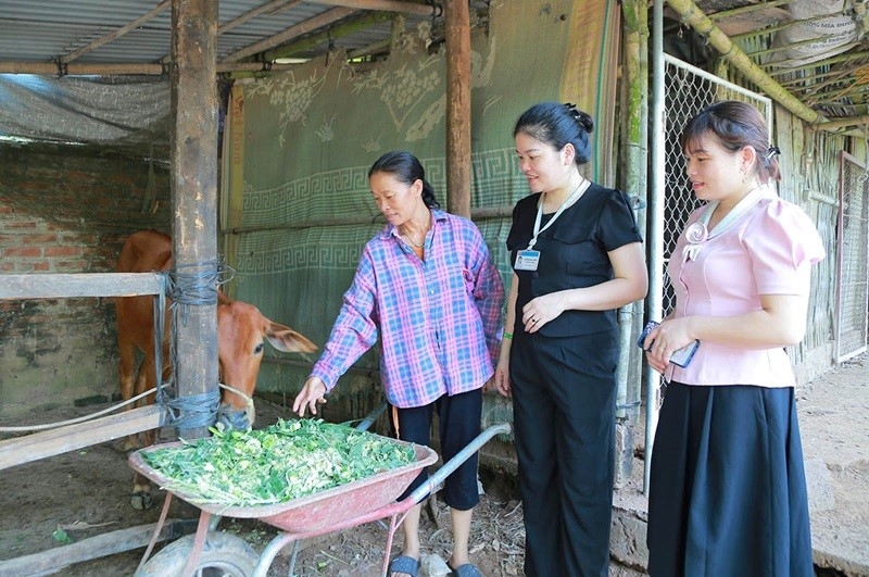 Phú Thọ: Bổ sung 12 tỷ đồng cho nguồn vốn đầu tư phát triển kinh tế - xã hội năm 2024