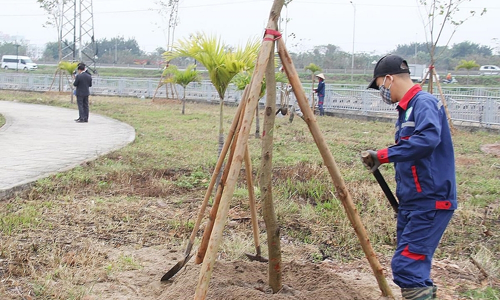 Bắc Giang: Năm 2024 trồng được hơn 7,2 triệu cây phân tán các loại