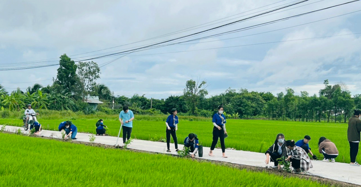 Tiền Giang: Xã Tân Trung khởi sắc từ phong trào xây dựng nông thôn mới