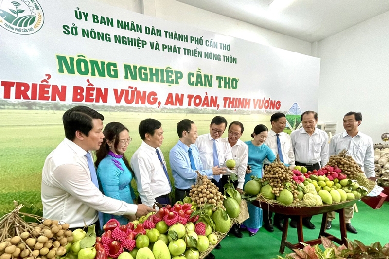 Cần Thơ: Hoạt động xúc tiến gắn với định hướng phát triển kinh tế - xã hội mang lại nhiều hiệu quả