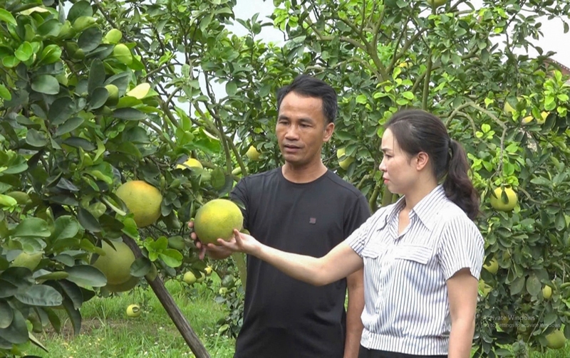 Nghi Lộc (Nghệ An): Xã Nghi Kiều đón Bằng công nhận xã đạt chuẩn nông thôn mới nâng cao