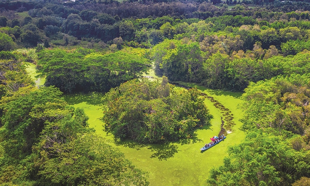 Hậu Giang: Triển khai kế hoạch thực hiện dự án Khu du lịch sinh thái Khu bảo tồn thiên nhiên Lung Ngọc Hoàng