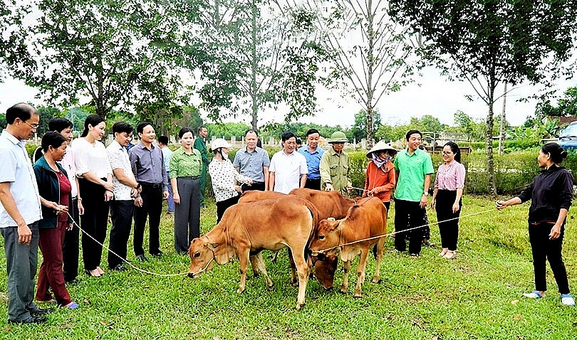 Hà Tĩnh: Bảo đảm an sinh xã hội, chăm lo đời sống nhân dân