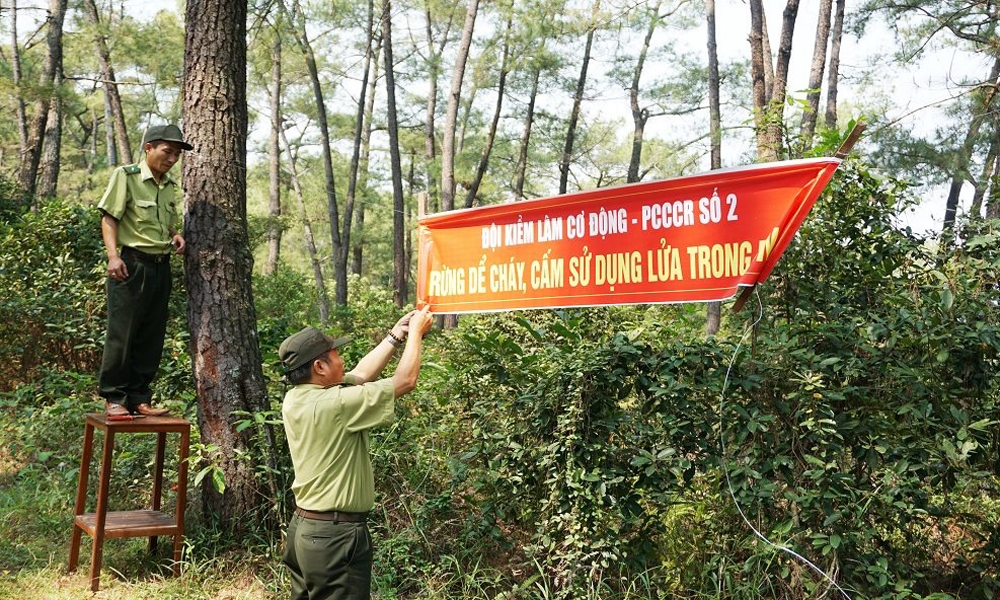 Nam Định: Tăng cường công tác quản lý bảo vệ rừng, phòng cháy, chữa cháy rừng