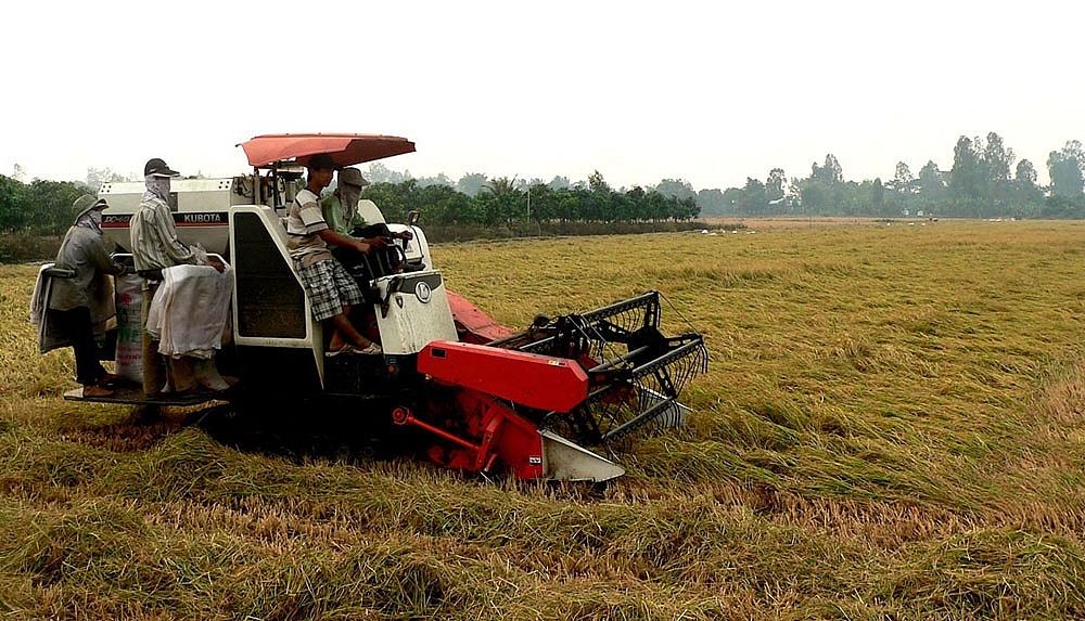 Hậu Giang: Tốc độ tăng trưởng kinh tế xếp thứ 2 vùng Đồng bằng sông Cửu Long