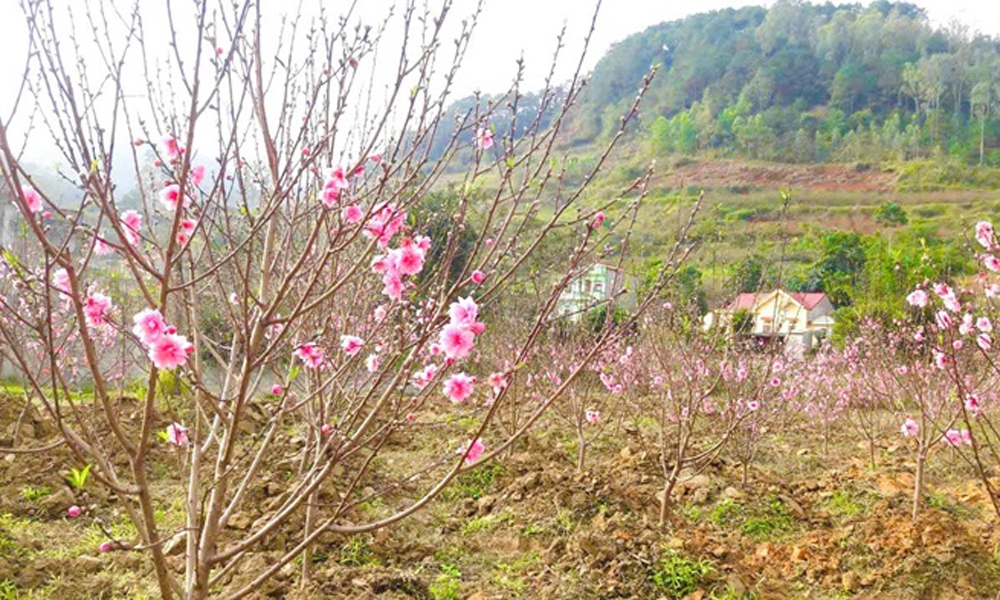  Điểm nhấn du lịch và kinh tế địa phương