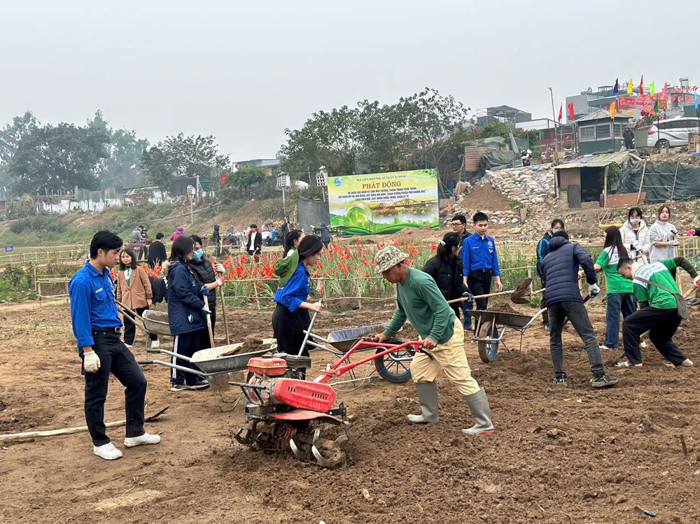 Ba Đình (Hà Nội): Rực rỡ bến hoa Phúc Xá