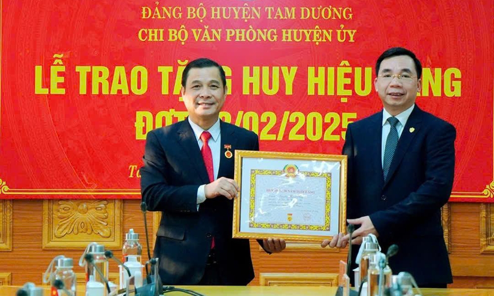 Vĩnh Phúc: Trao Huy hiệu 30 năm tuổi Đảng tặng Bí thư Huyện ủy Tam Dương