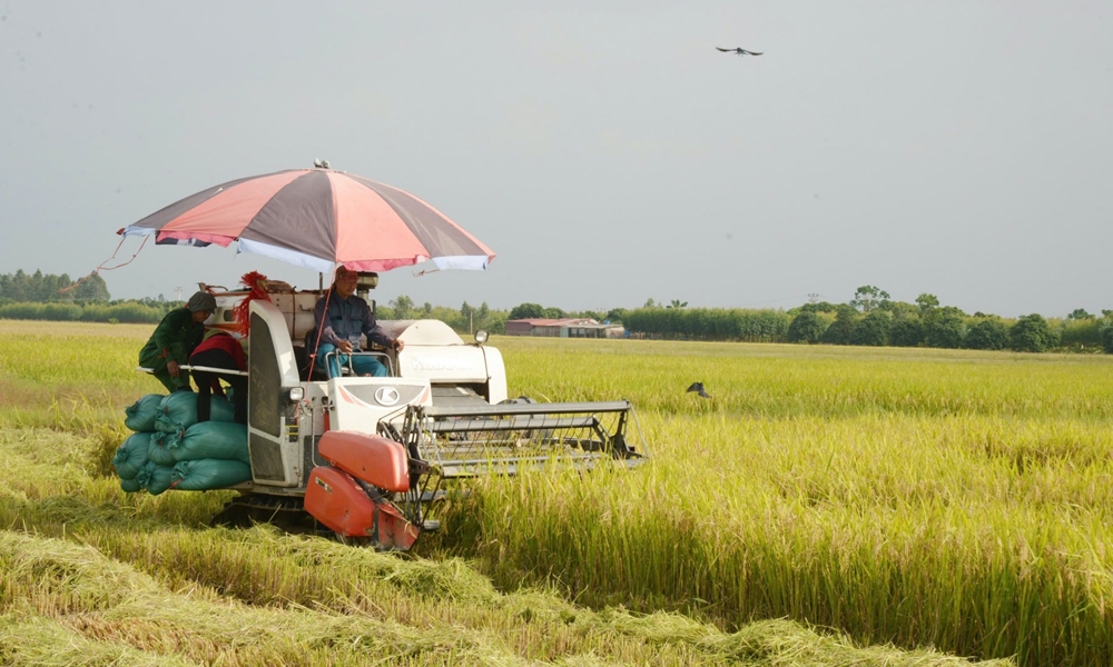 Hà Nội: Nông thôn mới diện mạo mới