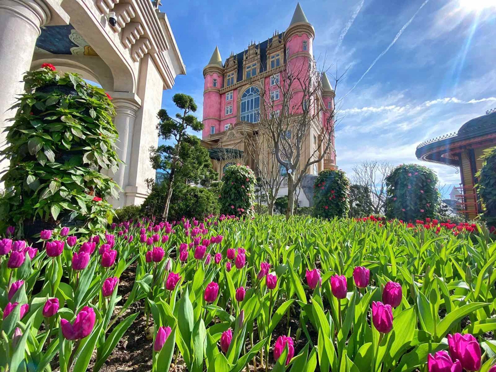 Sun World Ba Na Hills hứa hẹn hút khách dịp Tết Ất Tỵ với lễ hội hoa 2025