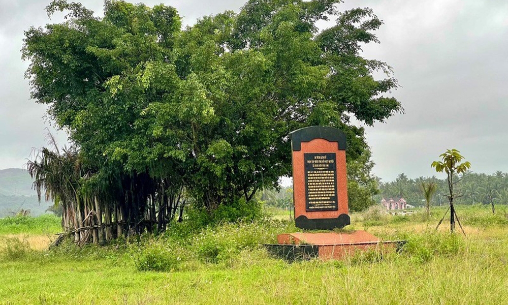 Xung quanh vụ việc đấu thầu ở thị xã Hoài Nhơn: Chủ tịch UBND tỉnh Bình Định giao thanh tra vào cuộc