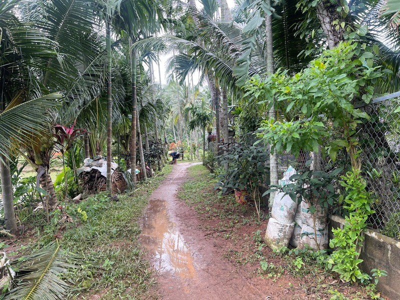 Xung quanh vụ việc đấu thầu ở thị xã Hoài Nhơn: Chủ tịch UBND tỉnh Bình Định giao thanh tra vào cuộc