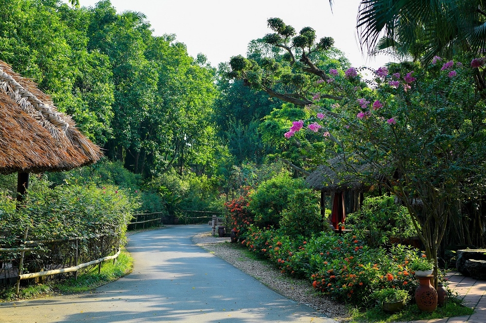 Thảo Viên Resort: Chốn đồng quê thanh bình chạm đến trái tim người lữ khách